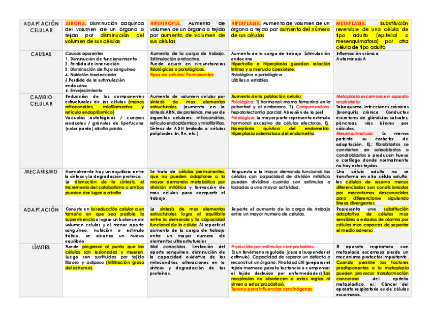 Miniatura del documento ADAPTACIONES-CELULARES.pdf