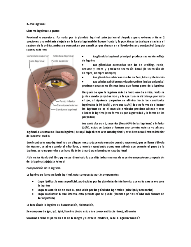 Miniatura del documento via-lagrimal.pdf