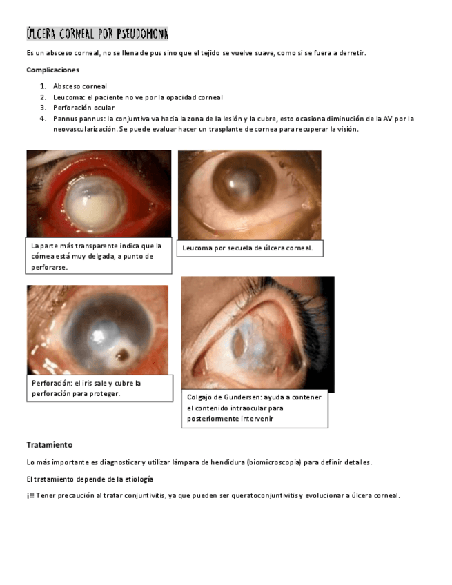 Miniatura del documento ESCLERA.pdf