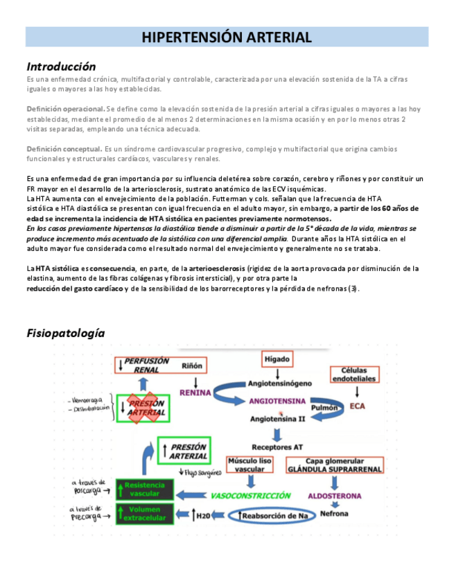Miniatura del documento HTA-GERIATRIA.pdf