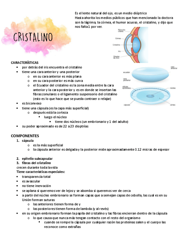 Miniatura del documento Cristalino.pdf