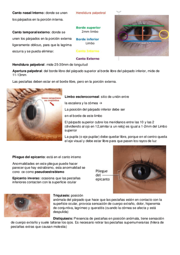 Miniatura del documento pdf4.pdf