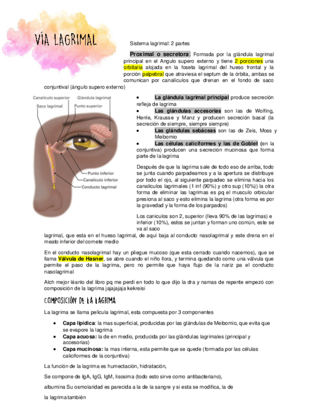 Miniatura del documento pdf71.pdf