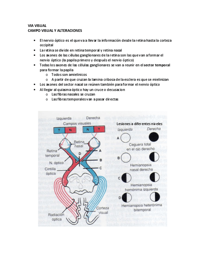 Miniatura del documento 27-de-octubre.pdf