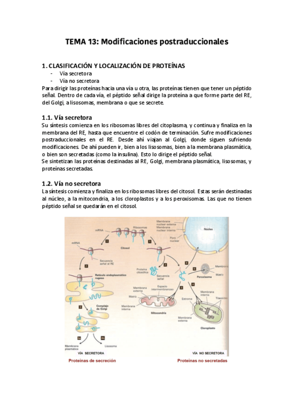 Miniatura del documento TEMA-13.pdf