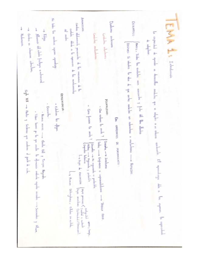 Miniatura del documento APRENDIZAJE-ESQUEMAS.pdf