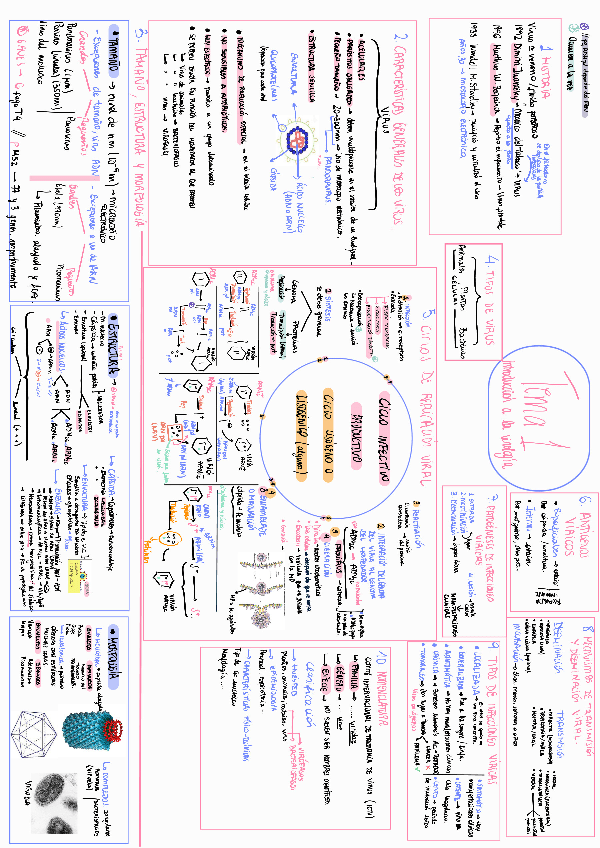 Miniatura del documento ESQUEMA-TEMA-1-VI-ROLOGIA.pdf