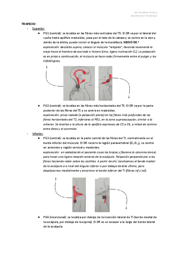 Miniatura del documento APUNTES-PUNTOS-GATILLOS.pdf