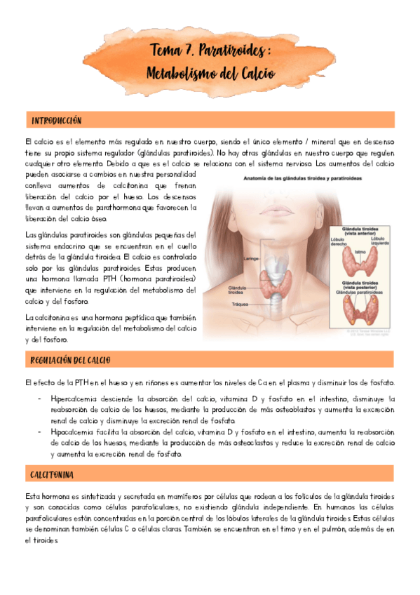 Miniatura del documento Tema7.pdf