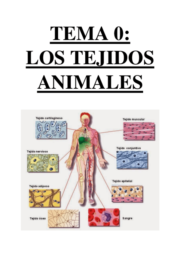 Miniatura del documento LOS TEJIDOS ANIMALES.pdf