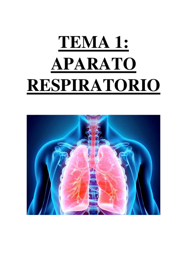 Miniatura del documento TEMA 1 - APARATO RESPIRATORIO.pdf