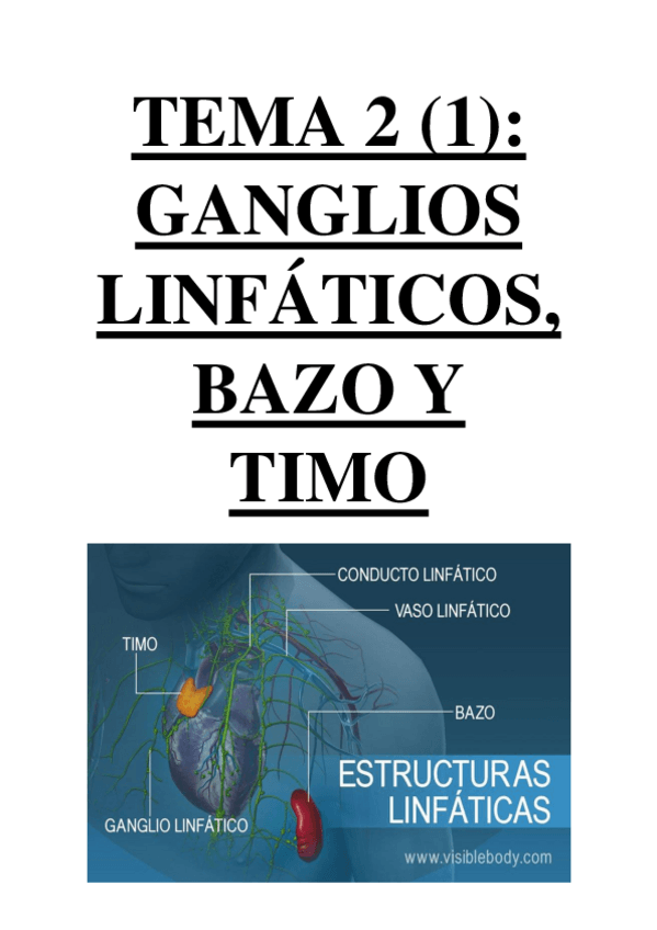 Miniatura del documento TEMA 2 (1) - GANGLIOS LINFÁTICOS, BAZO Y TIMO.pdf
