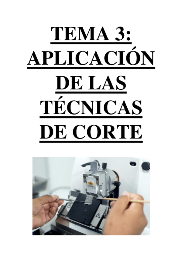 Miniatura del documento TEMA 3 - APLICACIÓN DE TÉCNICAS DE CORTE.pdf