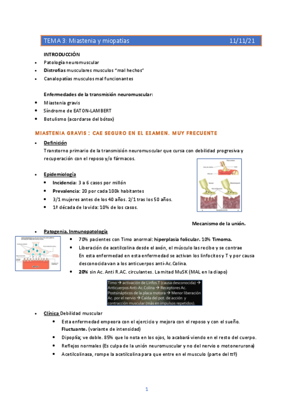 Miniatura del documento tema-3-y-tema-4.pdf