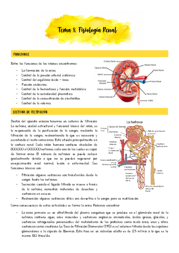 Miniatura del documento Tema-8.pdf