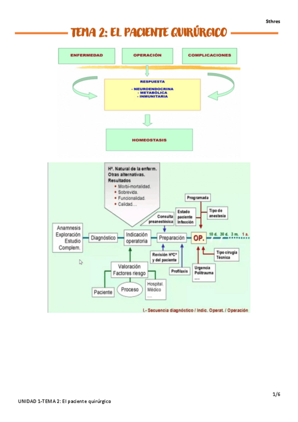 Miniatura del documento TEMA-2.pdf