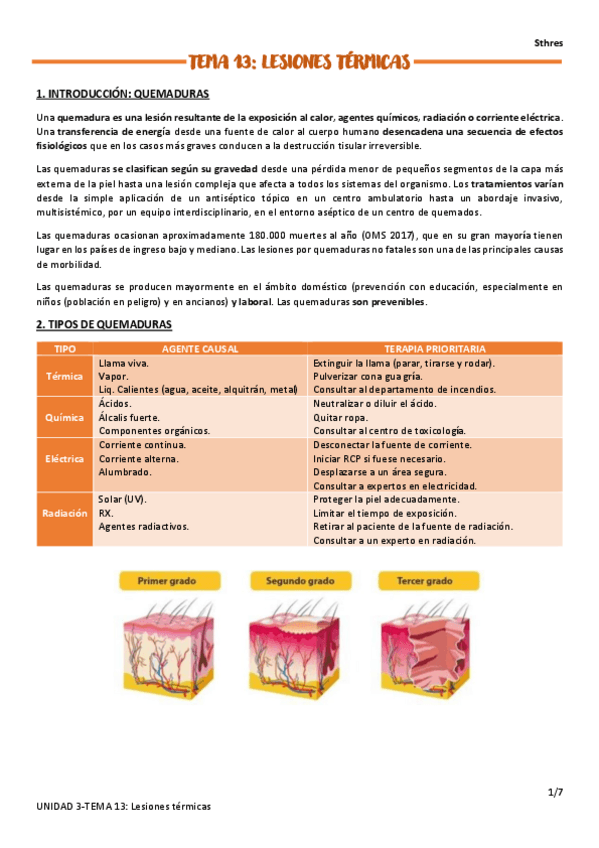 Miniatura del documento TEMA-13.pdf