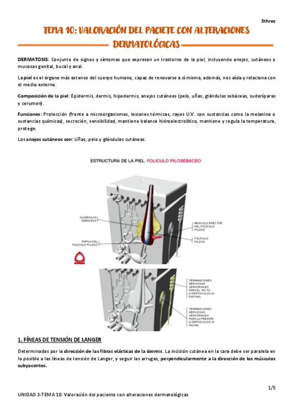 Miniatura del documento TEMA-10.pdf