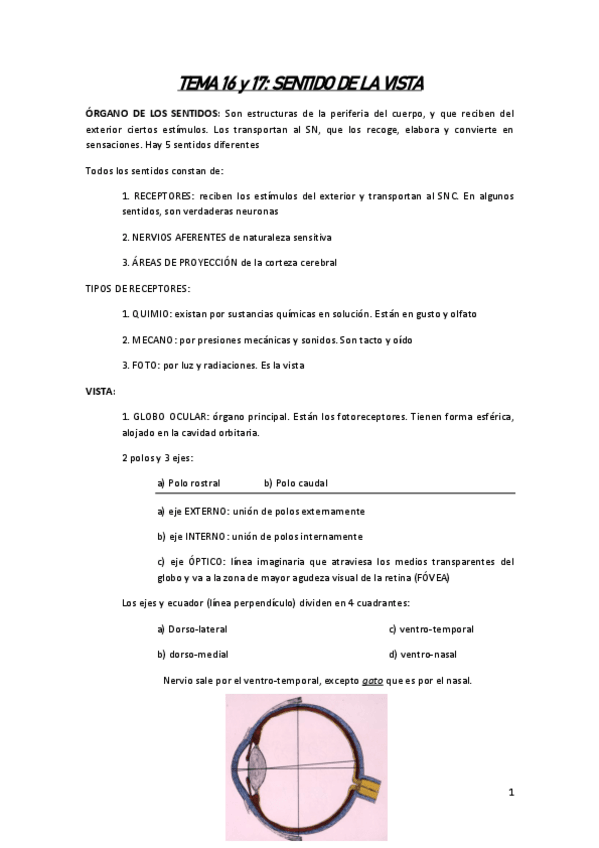 Miniatura del documento TEMA-16-y-17-VISTA.pdf