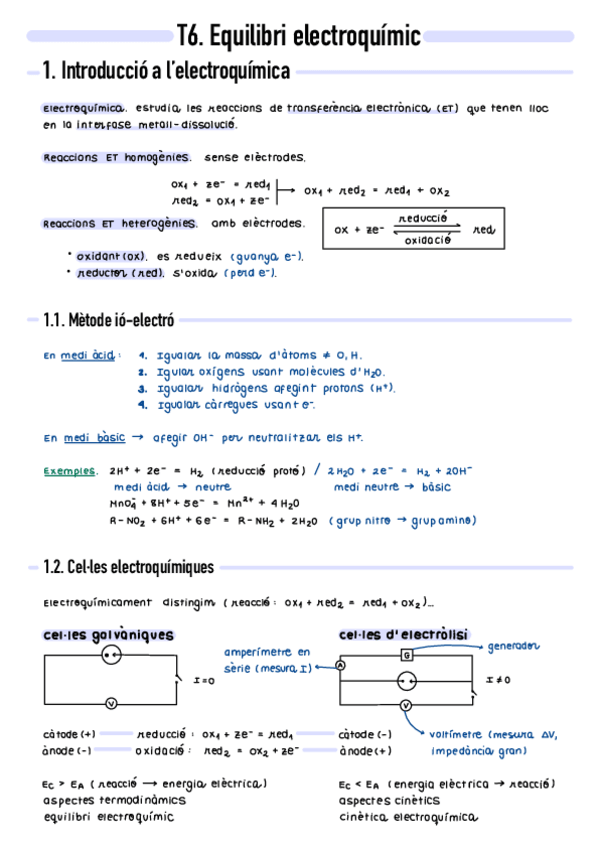 Miniatura del documento T6-Equilibri-electroquimic.pdf