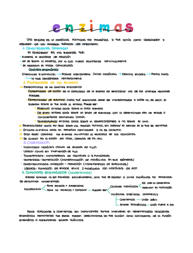 Miniatura del documento Enzimas-resumen-tema.pdf