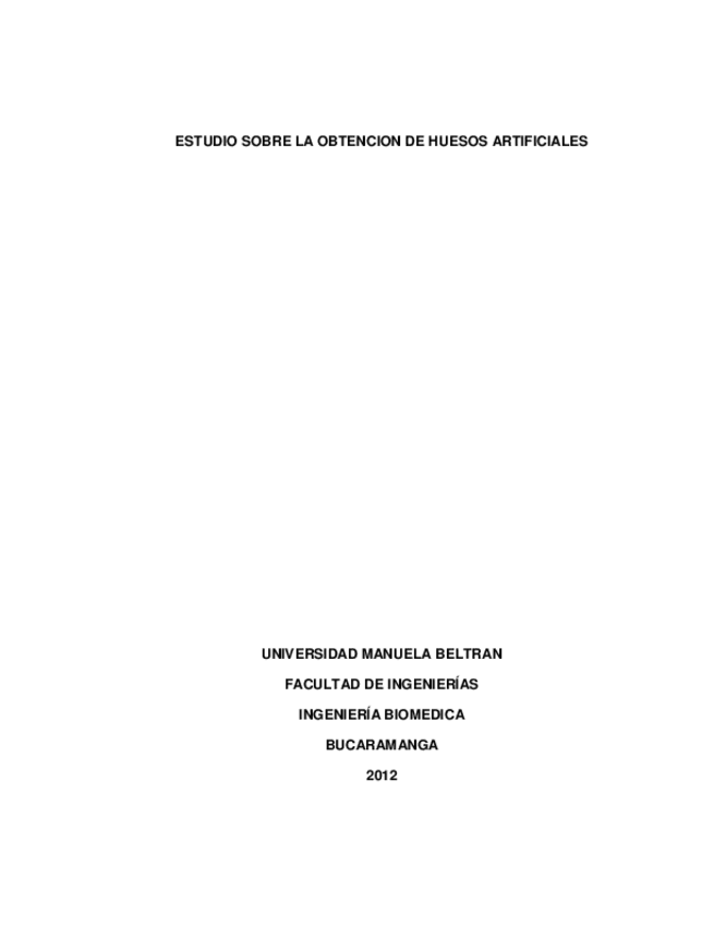Miniatura del documento trabajo-de-grado-IB061004B.pdf