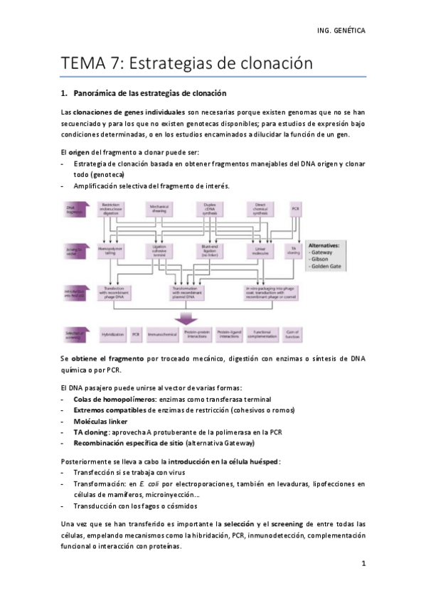 Miniatura del documento TEMA-7.pdf