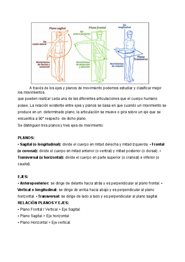 Miniatura del documento PLANOS-Y-REGIONES-CORPORALES.pdf