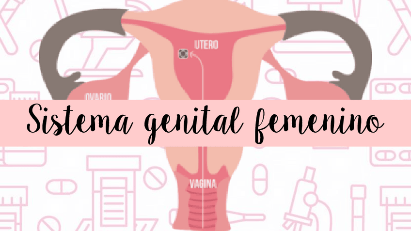 Miniatura del documento SISTEMA-GENITAL-FEMENINO.pdf