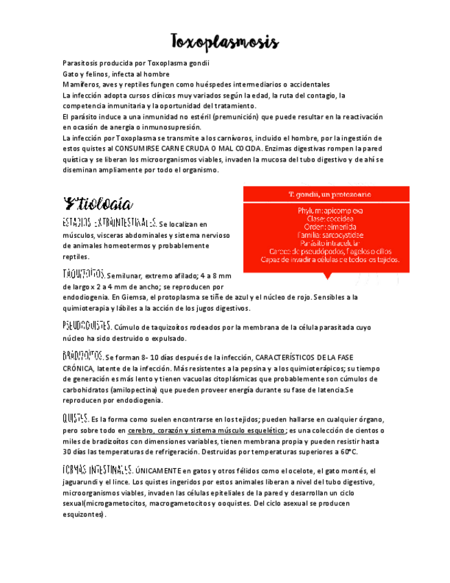 Miniatura del documento toxoplasmosis.pdf