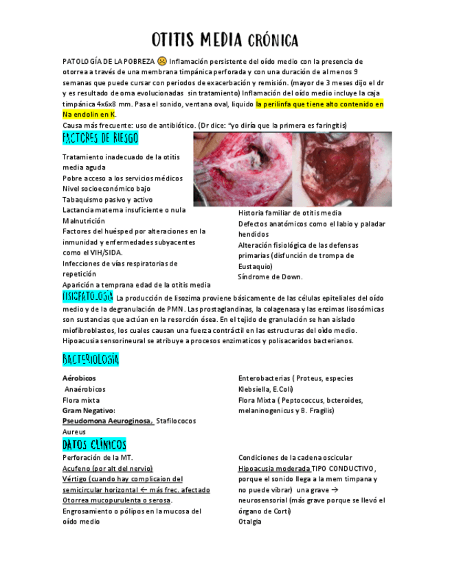 Miniatura del documento OMC.pdf