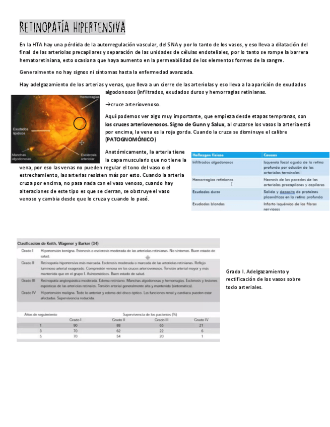 Miniatura del documento RETINOPATIA-HIPERTENSIVA.pdf