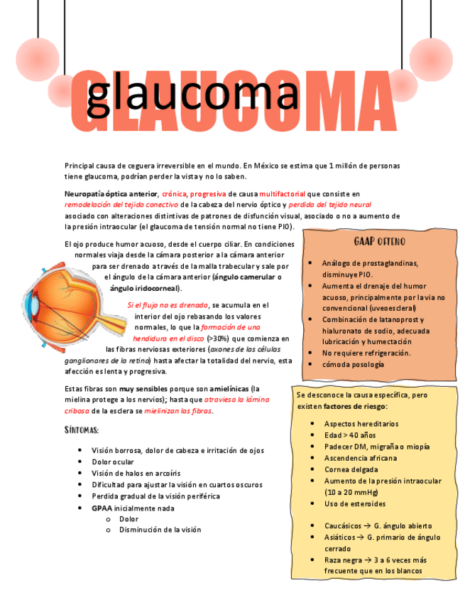 Miniatura del documento GLAUCOMA.pdf