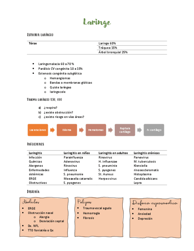 Miniatura del documento LARINGE.pdf