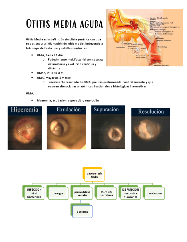 Miniatura del documento OMA.pdf