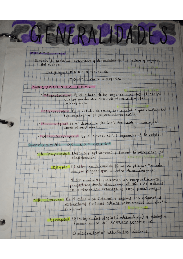 Miniatura del documento GENERALIDADES-DE-ANATOMIA.pdf
