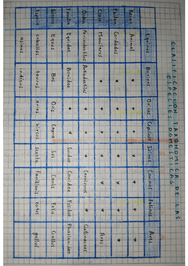 Miniatura del documento CLASIFICACION-TAXONOMICA-DE-LAS-ESPECIES-DOMESTICAS.pdf