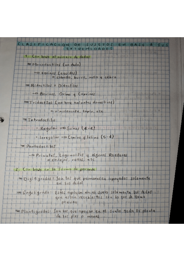 Miniatura del documento CLASIFICACION-DE-SUJETOS-EN-BASE-A-SUS-EXTREMIDADES.pdf