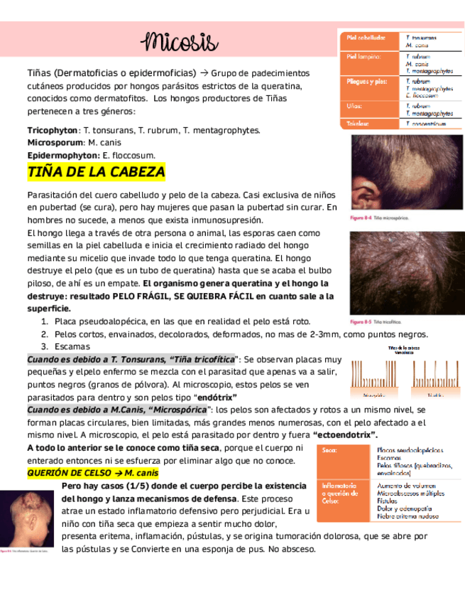 Miniatura del documento Micosis.pdf