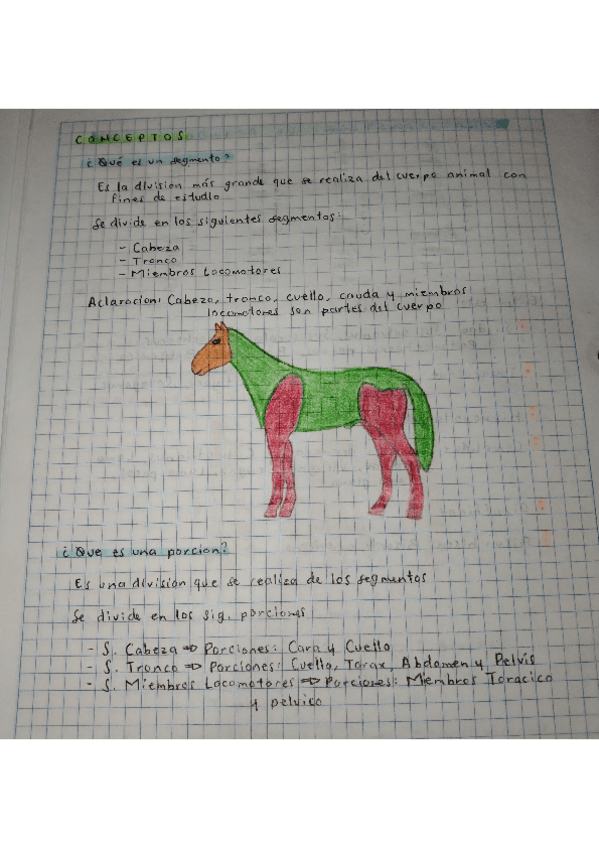 Miniatura del documento CONCEPTOS-DE-ANATOMIA.pdf