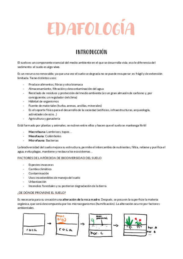 Miniatura del documento TEMA-1.pdf
