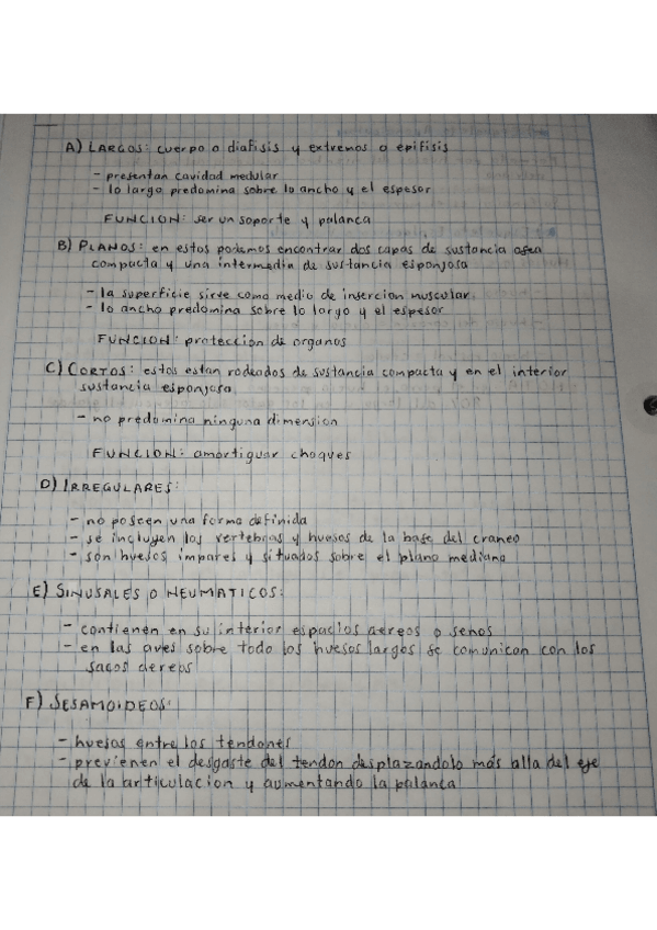 Miniatura del documento CLASIFICACION-DE-LOS-HUESOS.pdf