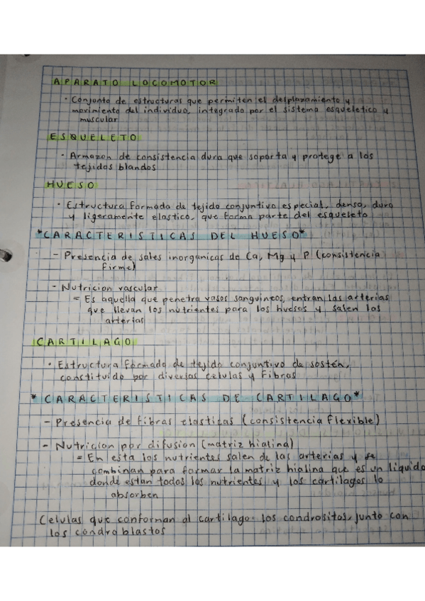 Miniatura del documento OSTEOLOGIA.pdf