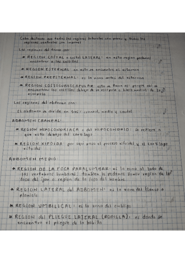 Miniatura del documento REGIONES-DEL-TORAX.pdf