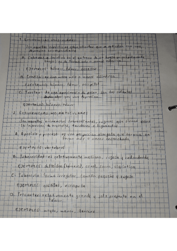 Miniatura del documento EMINENCIAS-Y-DEPRESIONES.pdf