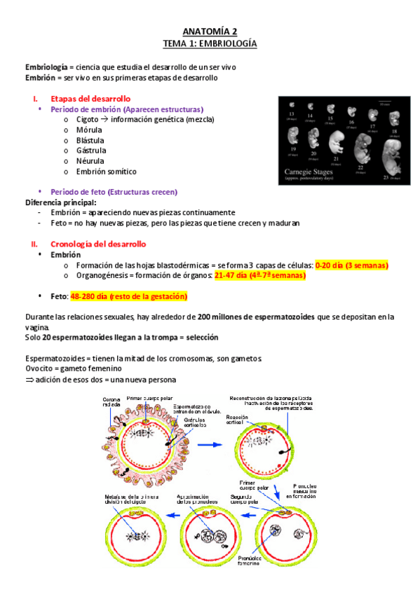 Miniatura del documento TEMA-1-A2.pdf