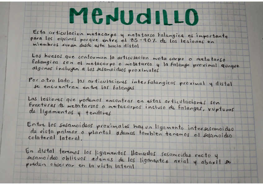 Miniatura del documento MENUDILLO.pdf