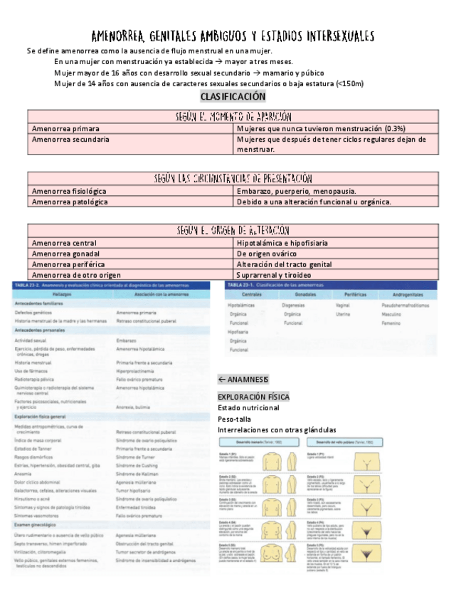 Miniatura del documento AMENORREA.pdf
