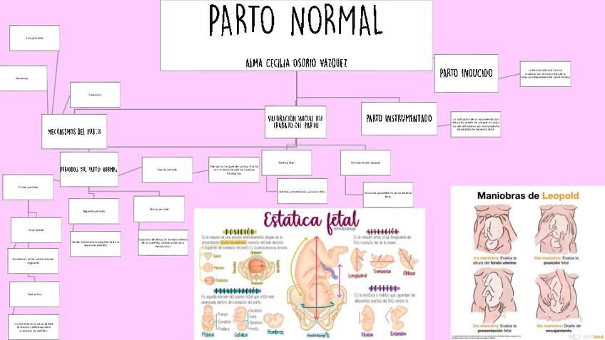 Miniatura del documento PARTO-NORMAL-ALMA-CECILIA-OSORIO-VAZQUEZ.pdf