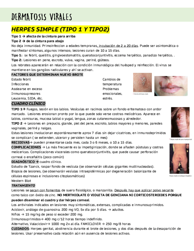 Miniatura del documento DERMATOSIS-VIRALES.pdf